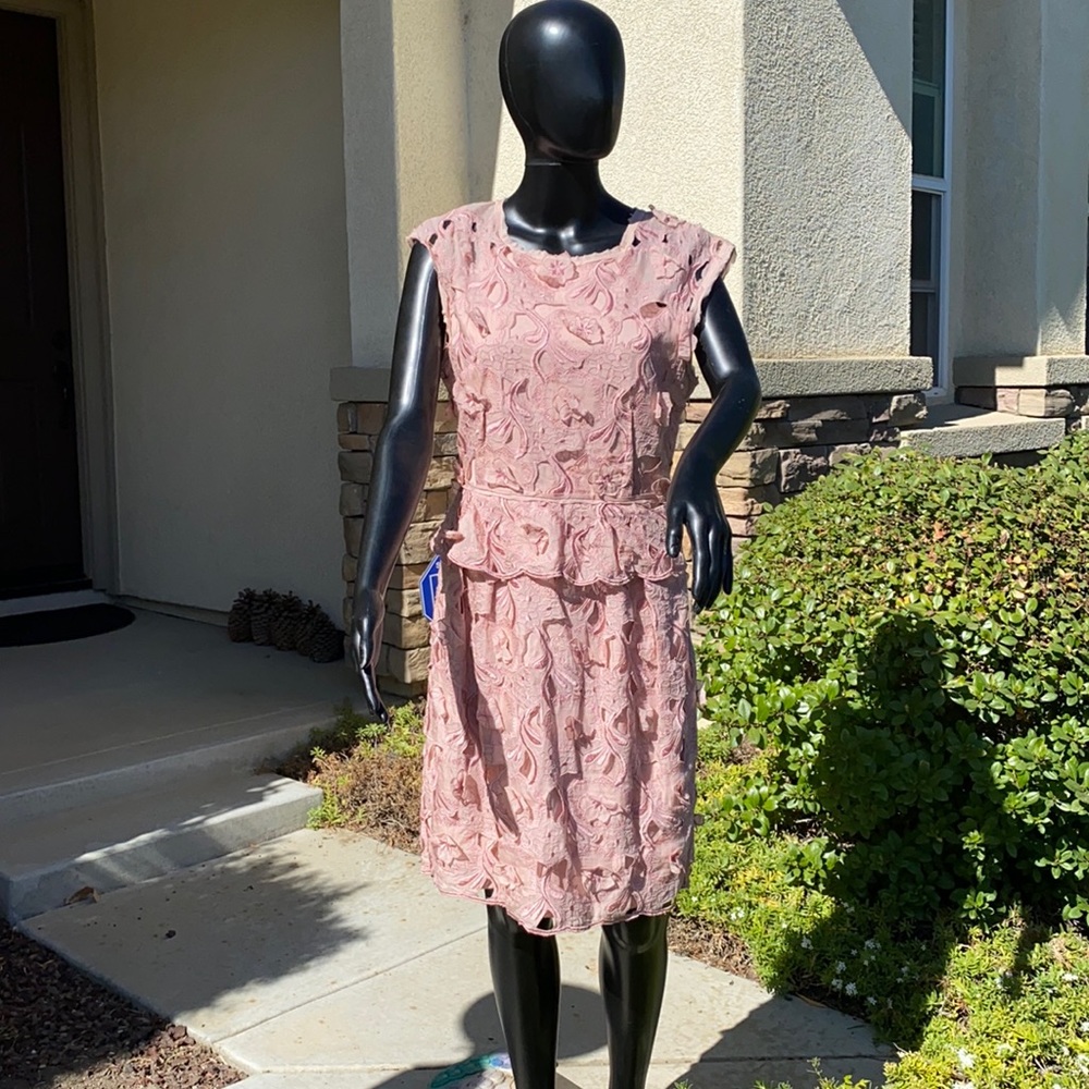 Pink Floral BCBG dress